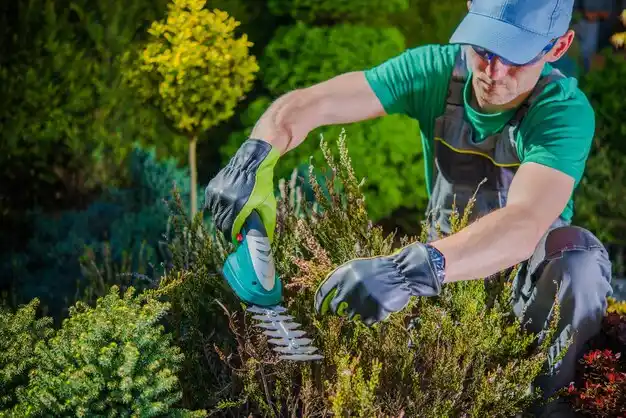 landscaping services Fleming-Neon